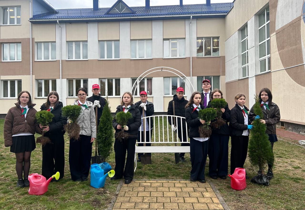 «Посади дерево»