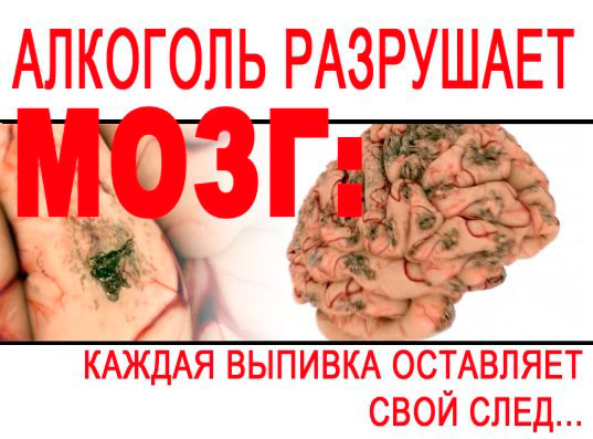 Как сказать "НЕТ" в компании друзей и сохранить свой авторитет